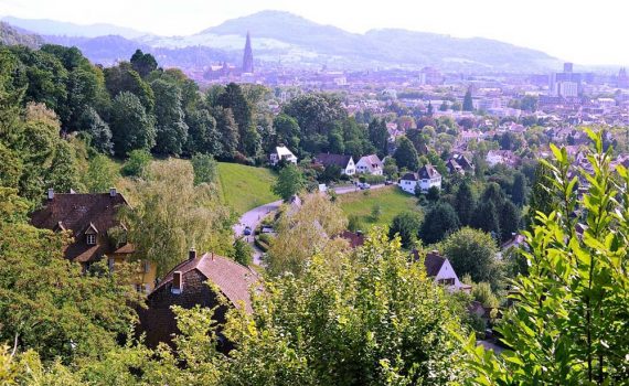 Postkartenblick auf Freiburg, der nun bald zubebaut sein wird: die Pferdewiese (Foto: K. Langosch)